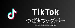つばきファクトリー TikTok