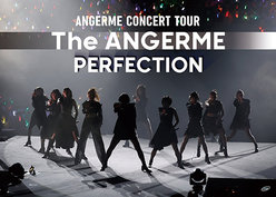 アンジュルム CONCERT TOUR -The ANGERME- PERFECTION：
