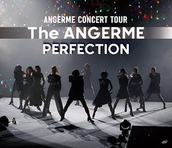 アンジュルム CONCERT TOUR -The ANGERME- PERFECTION：